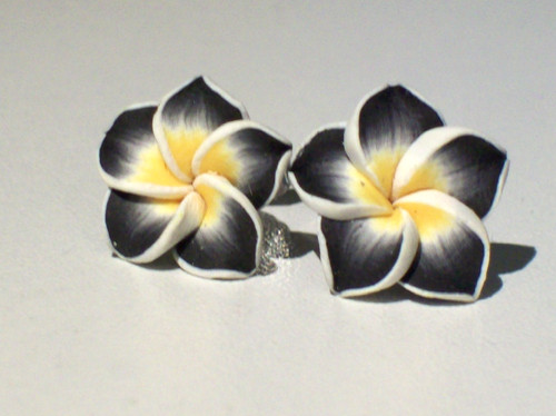 Ohrringe blüte hawaii schwarz - ohrringe,